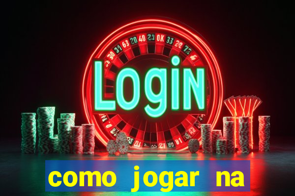 como jogar na lotinha do jogo do bicho